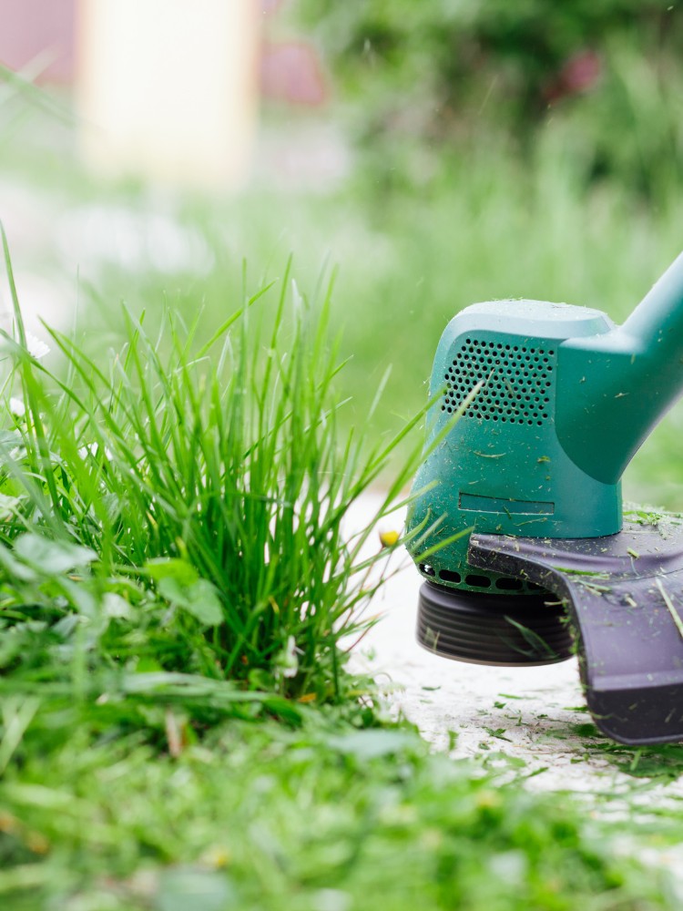 top lawn care services