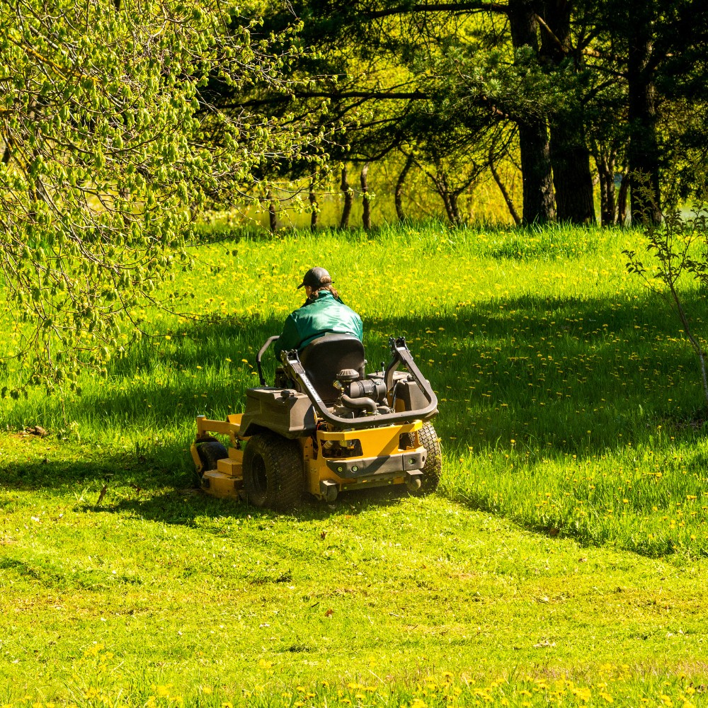 Best Lawn Care Service