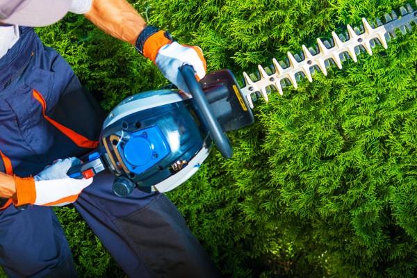 Hedge Trimming services