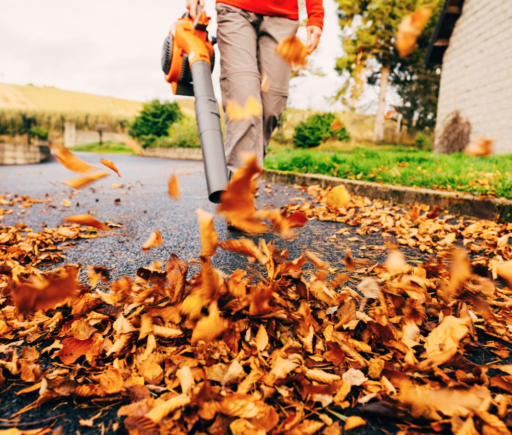 leaf blowing near me