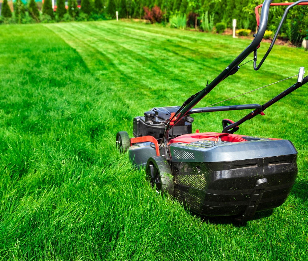 local lawn Mowing services