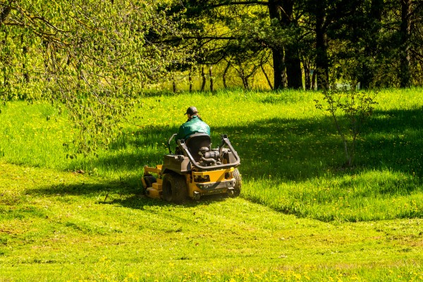 grass cutting service