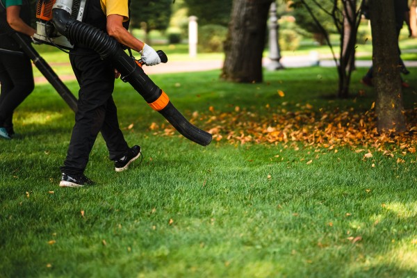 leaf blowing service